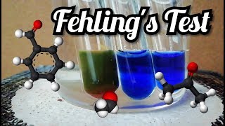 Fehlings Test [upl. by Ganny137]