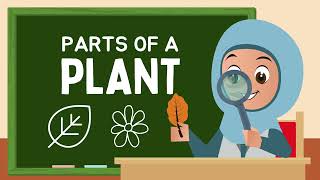 Parts of a Plant Kids Learning Knowledge of World funandlearn kidslearning [upl. by Zetrauq]