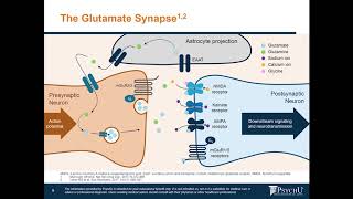 What Is The Role That Glutamate Plays In Mood Disorders amp Schizophrenia [upl. by Eetsirhc]