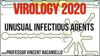 Virology Lectures 2020 25 Unusual infectious agents [upl. by Ilrak]