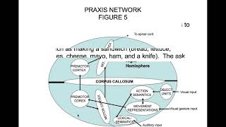 Apraxia Part 3 Conceptional Ideational and Construction Apraxia [upl. by Munster183]