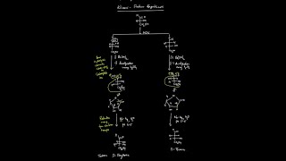 Carbohydrates Video 1Interconversions in Carbohydrates Aldopentose to Aldohexose [upl. by Rebane677]