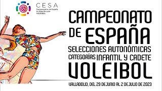 Pista 4 Voleibol CESA Voleibol Infantil Jornada Matinal Viernes 30062023 [upl. by Aitekram521]