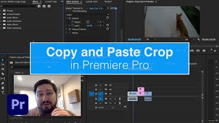 Copy and Paste Crop in Premiere Pro [upl. by Sregor]