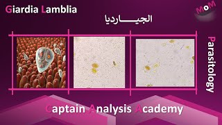 Giardia lamblia الجيارديا بالتفصيل [upl. by Duff]