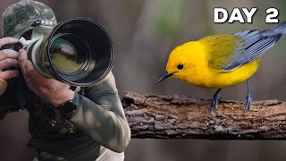 Photographing the Biggest Week in American Birding [upl. by Aizatsana]