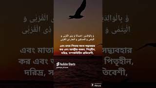 সূরা আন নিসাআয়াত ৩৬  Surah An Nisa  Quran Tilawat qurantilawat bd [upl. by Carbo681]