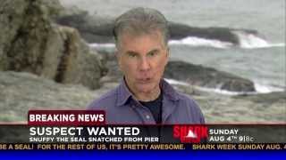 John Walsh on Snuffys Disappearance  Shark Week 2013 [upl. by Parlin213]