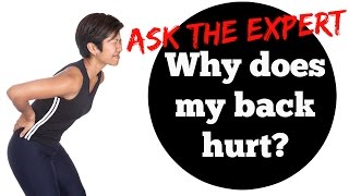 Why Does My Back Hurt  Interview wBack Pain Specialist McKenzie Therapist Dr Yoav Suprun [upl. by Joya]