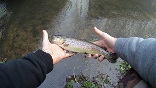 Ouverture Pêche de la truite au toc 2016 en Eure et Loir 28 partie 2 HD [upl. by Buffy584]