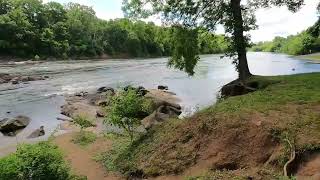 River Update Roanoke river Weldon boat ramp Weldon NC Rockfish capital of the World [upl. by Santini765]