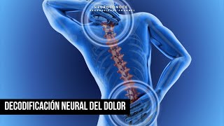 Decodificación Neural del Dolor Proceso Cerebral Explicado [upl. by Anaihr]