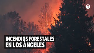 Incendios en Los Ángeles EE UU casas destruidas y miles de hectáreas quemadas  El Espectador [upl. by Sancho]