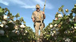 Dove hunting  A family tradition [upl. by Yank364]