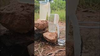 Easy water filter by your own forest survivalskillsbushcraftskills outdoorskills shorts [upl. by Darian]