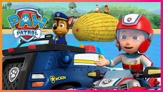 Ultimate Rescue Marshall puts out fires with the Pups  PAW Patrol  Cartoons for Kids Compilation [upl. by Hartfield395]