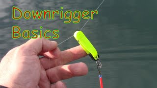 Downrigger 101 Entry Level Introduction To Downrigger Fishing [upl. by Zanze]