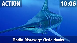 How to Catch a Marlin amp How to Feed a Marlin your Bait [upl. by Htebezile988]