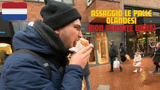 CUCINA TIPICA NON OLANDESE A EINDHOVEN  vlog Olanda  Paesi Bassi ep 1 [upl. by Amat]