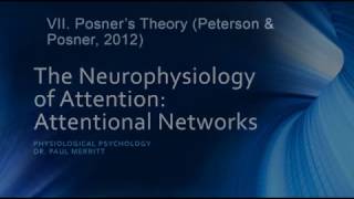 Neurophysiology of Attention Attention Networks [upl. by Ahsenrac72]