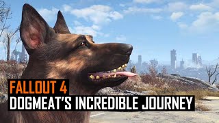 Fallout 4 Dogmeats Incredible Journey Home [upl. by Juli]