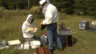 National Honey Bee Survey Sample Collection Training [upl. by Enier]