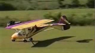 Weedhopper single place part 103 legal ultralight aircraft [upl. by Bearnard]