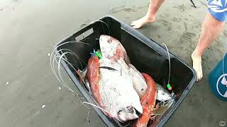 Kontiki fishing in NZ  a look back at a few fun kontiki adventures [upl. by Eolande]