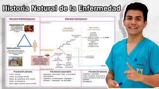 Historia Natural de la Enfermedad  Fácil [upl. by Ehtyde]