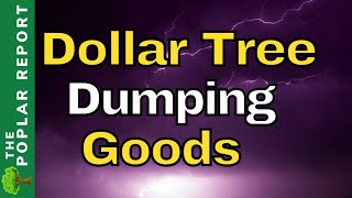 Its WORSE Than We THOUGHT  Dollar Tree Cant Sell Its STUFF  Updates [upl. by Feingold]