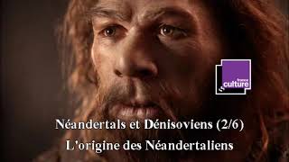 Néandertals et Dénisoviens 26  Lorigine des Néandertaliens [upl. by Zaraf]