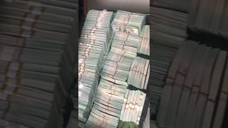 💵Great 115 Million Dollars Cash Money us dollar cash money millionaire million [upl. by Aneeg248]