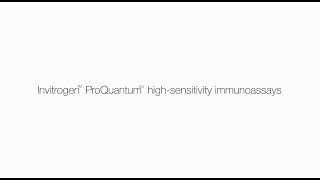 Invitrogen ProQuantum HighSensitivity immunoassays  minimal sample consumption [upl. by Kele]