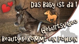 Das Baby ist da  Geburtsvideo  Beauty bekommt ihr Fohlen [upl. by Anail695]