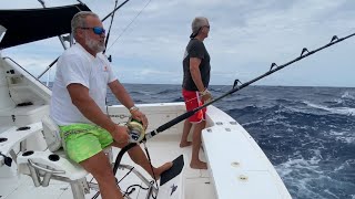 Heavy Tackle Giant Black Marlin fishing Cairns Great Barrier Reef Australia 2022 [upl. by Balkin331]