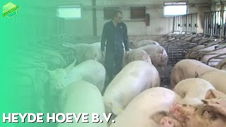 Heyde hoeve BV item Doe Maar Duurzaam S18E37 Duurzaam Ondernemen [upl. by Aitel]