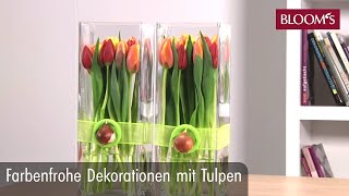 Farbenfrohe Deko mit Tulpen  DIY Frühlingsdeko  spring decoration  BLOOM’s Floristik [upl. by Chaille]