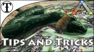 Fast Titanoboa Taming Guide  Ark  Survival Evolved Tips and Tricks [upl. by Arreip927]