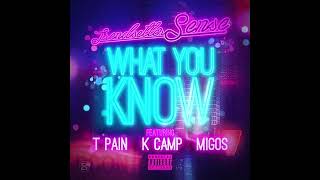 TPain  What You Know ft K Camp amp Migos Slowed [upl. by Fawne]