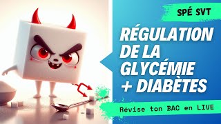 Révisions BAC spé SVT  GLYCÉMIE [upl. by Eserehs136]