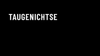 Taugenichtse  Gedicht 31  Hannes Sonntag [upl. by Onitsuj]