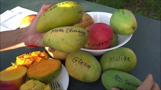 Обзор сортов МангоMango Varieties Overview [upl. by Weixel]