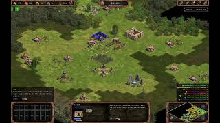 Age of Empires Definitive Edition まったりAOEDE  Rise of Rome その２３ 死ぬー！死ぬー！ [upl. by Wylen]