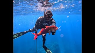 Awesome Dive with Braddah Dex [upl. by Zohar]