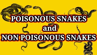 POISONOUS and NON POISONOUS SNAKES 🐍Telugu Bsc ZOOLOGY  BIOLOGY FOR YOU [upl. by Shreeves]