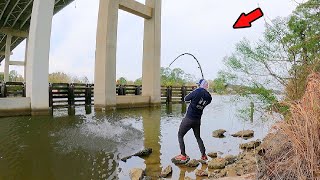 Catching Massive Fish from a Bridge for 2 Hours [upl. by Yvehc]