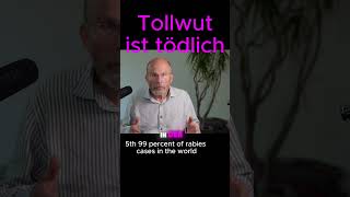 Tollwut ist immer tödlich wenn nicht rechtzeitig geimpft wird [upl. by Eissert]