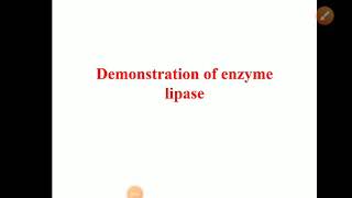 Demonstration of enzyme lipase  Experiment [upl. by Kentigerma404]