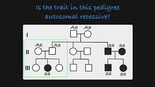 Autosomal Recessive Traits in a Pedigree [upl. by Yruy]