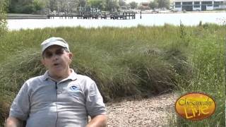 Chesapeake Live Walter Priest Interview [upl. by Meadows]